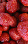 nr. 503 Jordbær